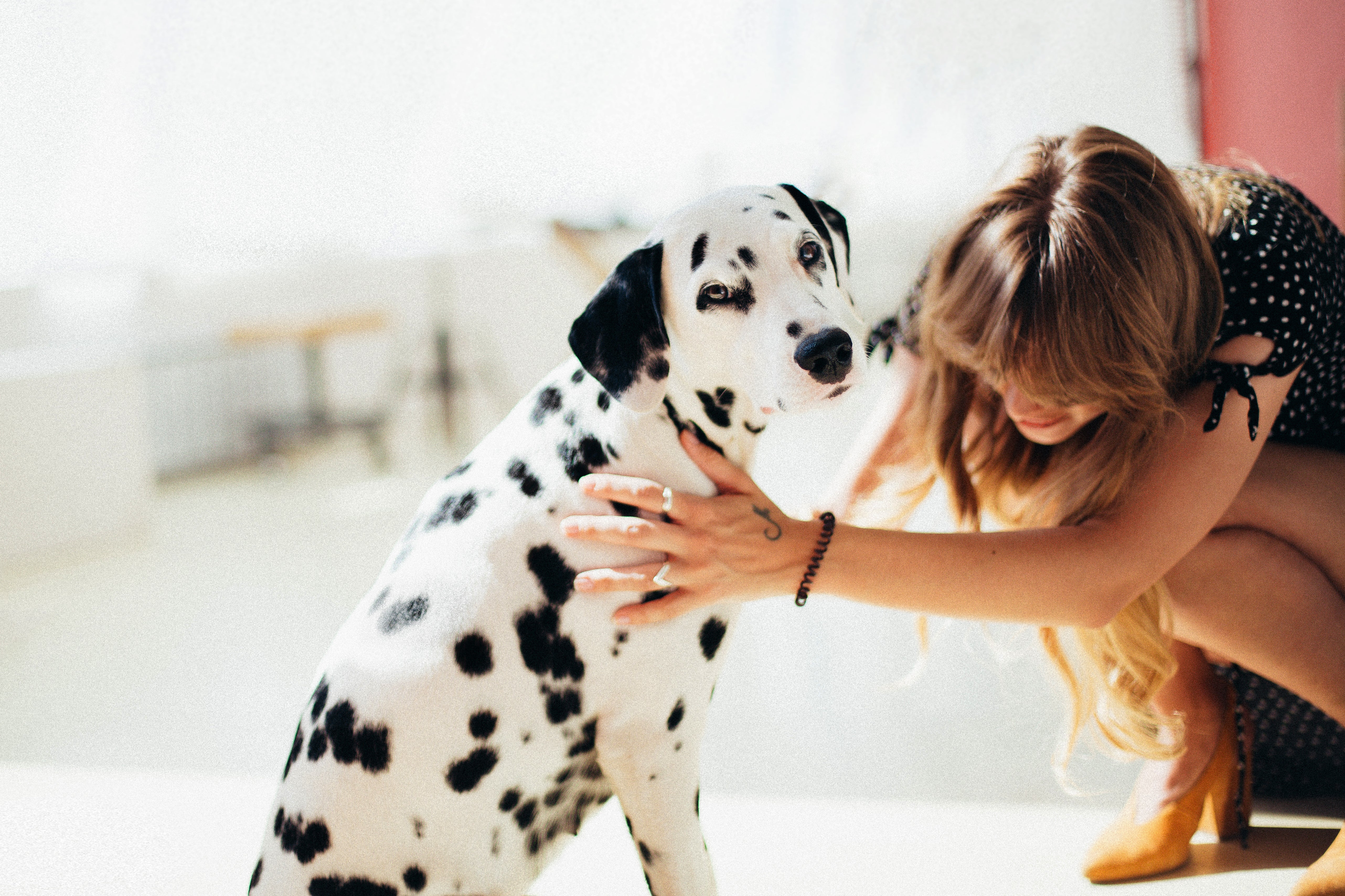 Stuck at home? Dog's can make everything better!
