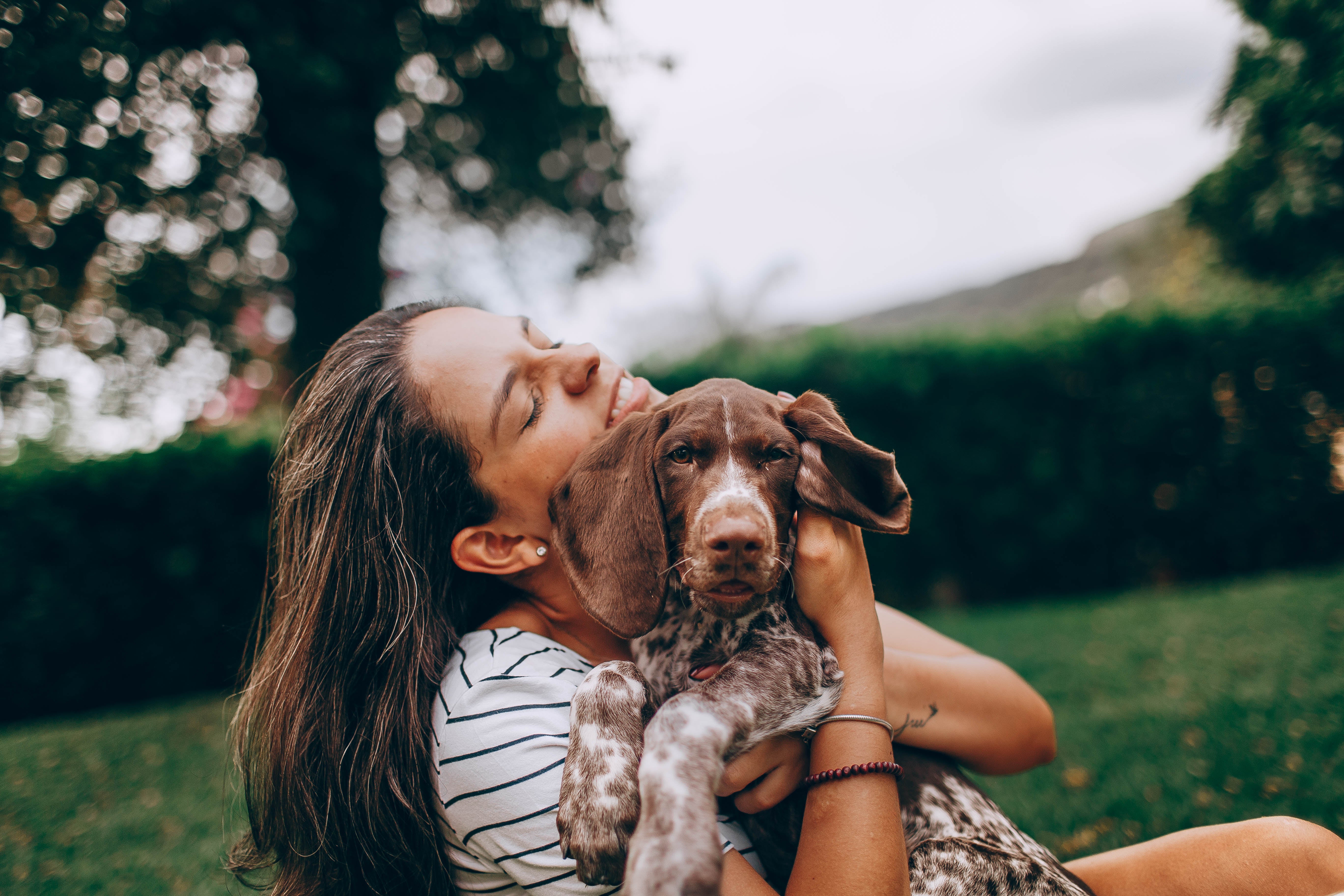 Dogs - A free mental health booster