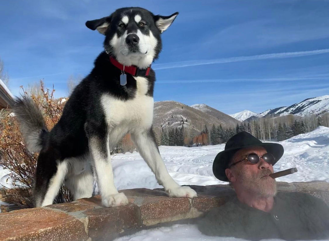 Our 5 Favourite Dog Dads On Instagram
