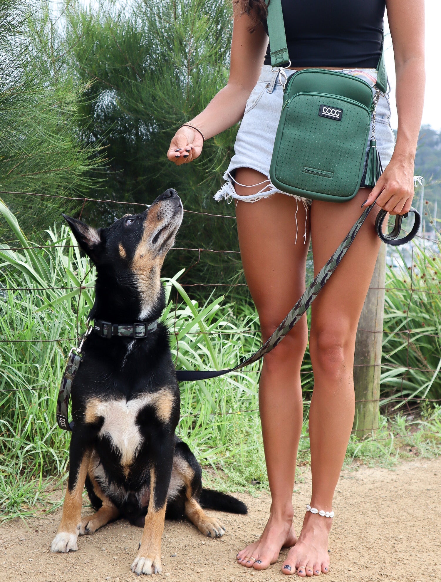 5 Fun Things To Do on International Walk Your Dog Week