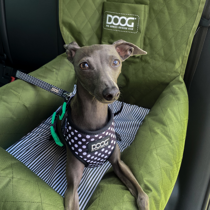 Neoflex Harness