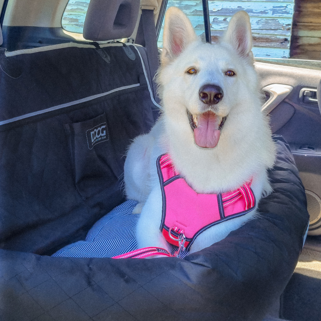 Dog Car Seat - Large