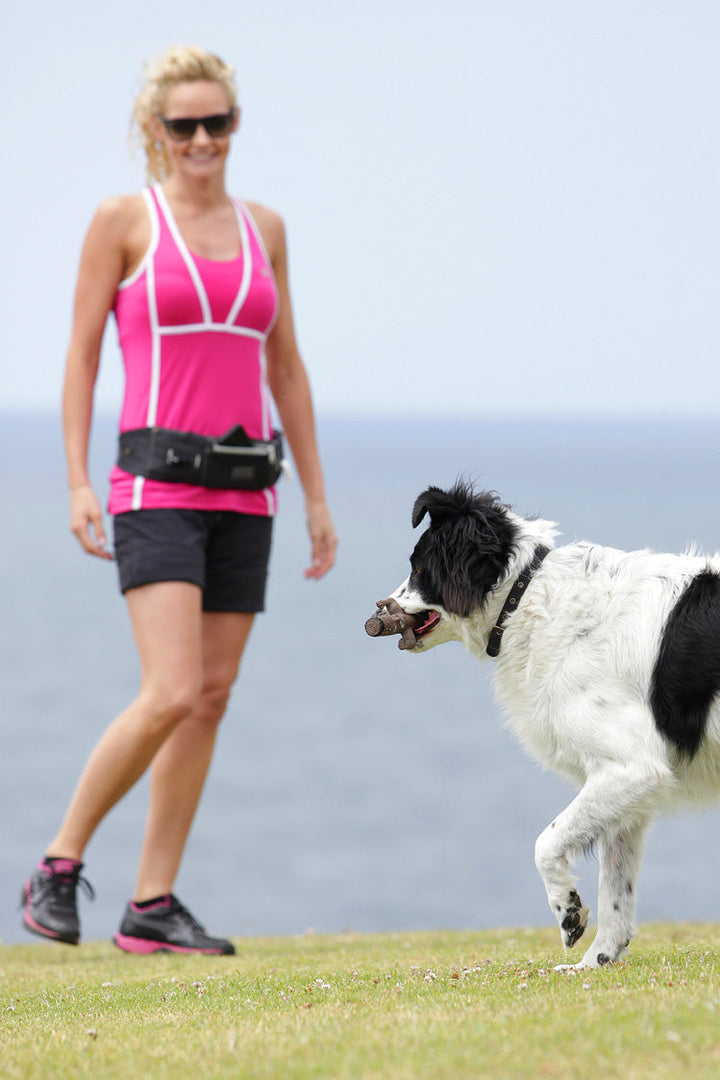 Walkie Belt