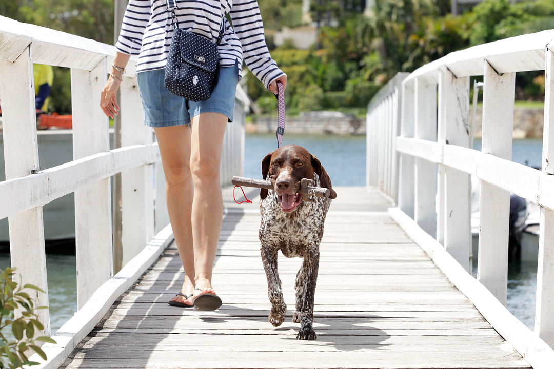 Neoprene Dog Leash