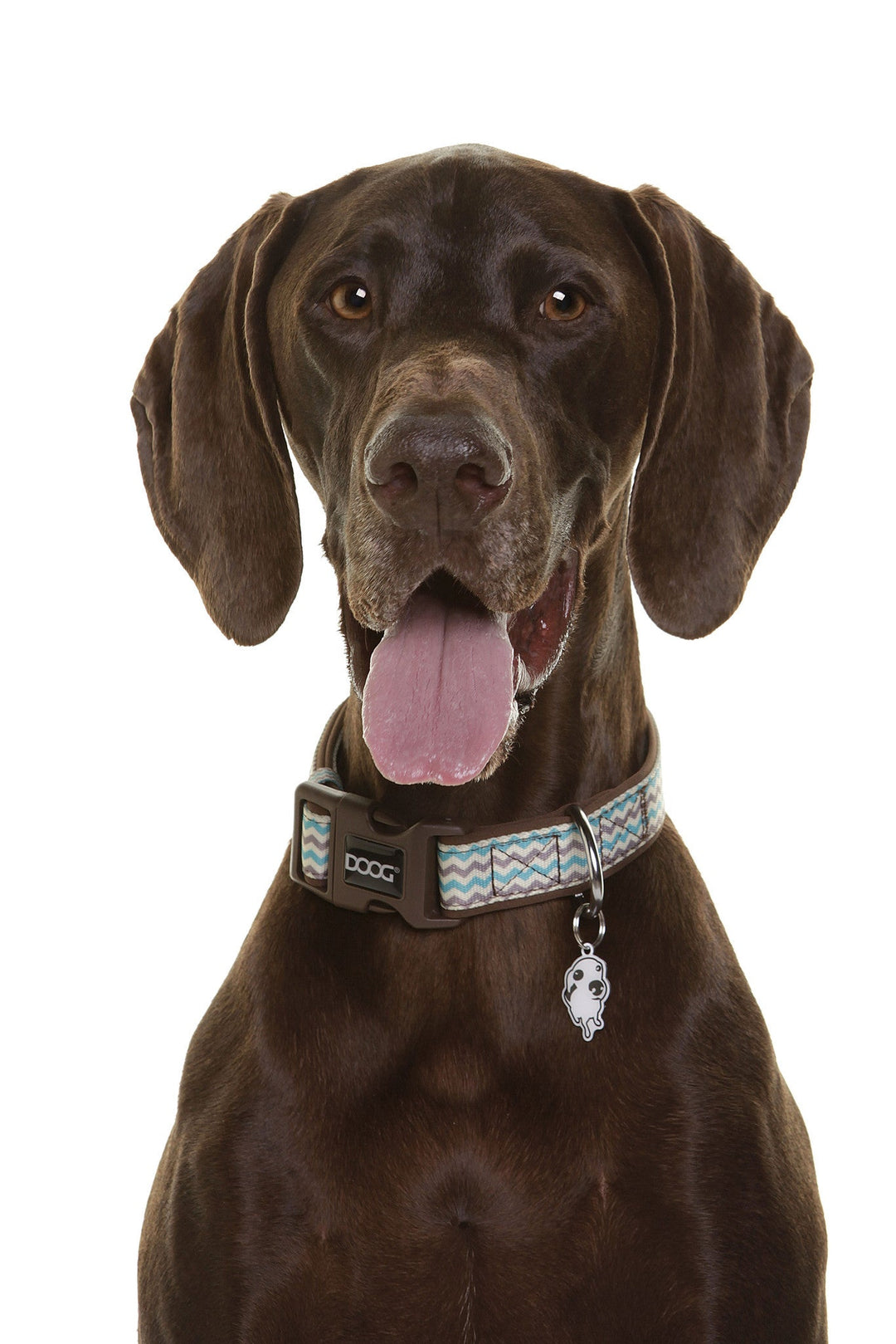 Neoprene Dog Collar