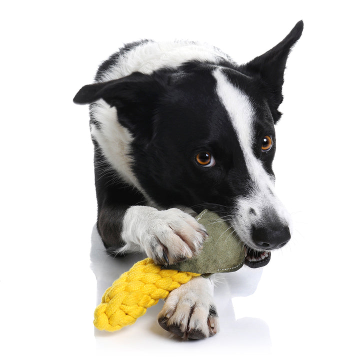 Country Tails Suede Dog Toy