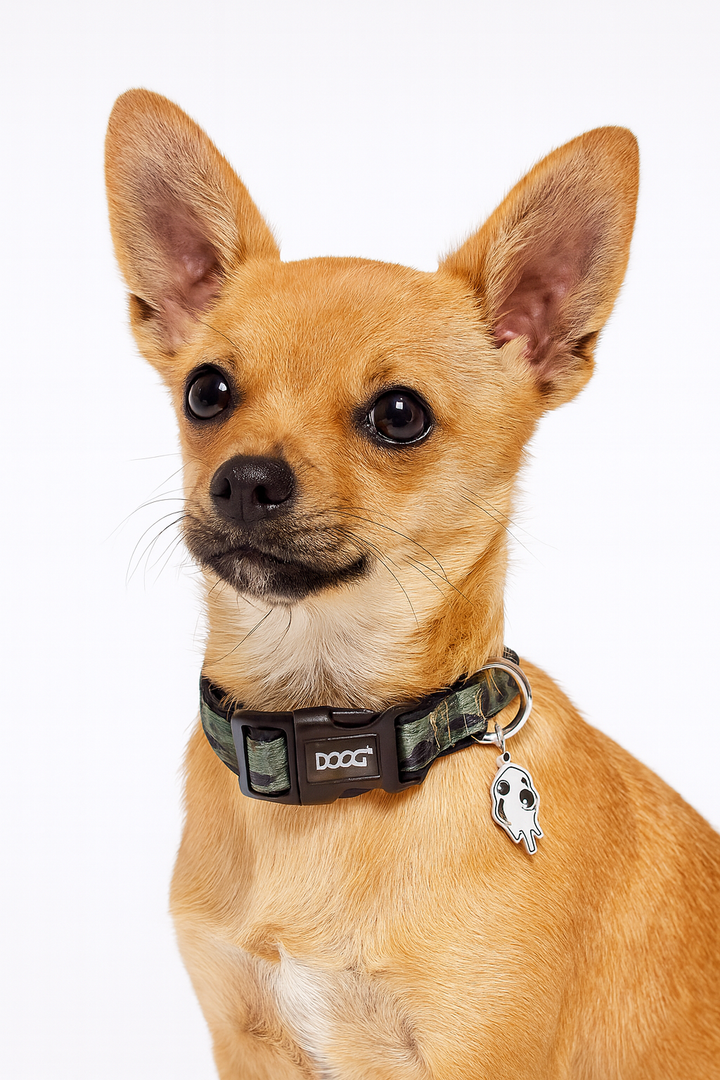 Neoprene Dog Collar