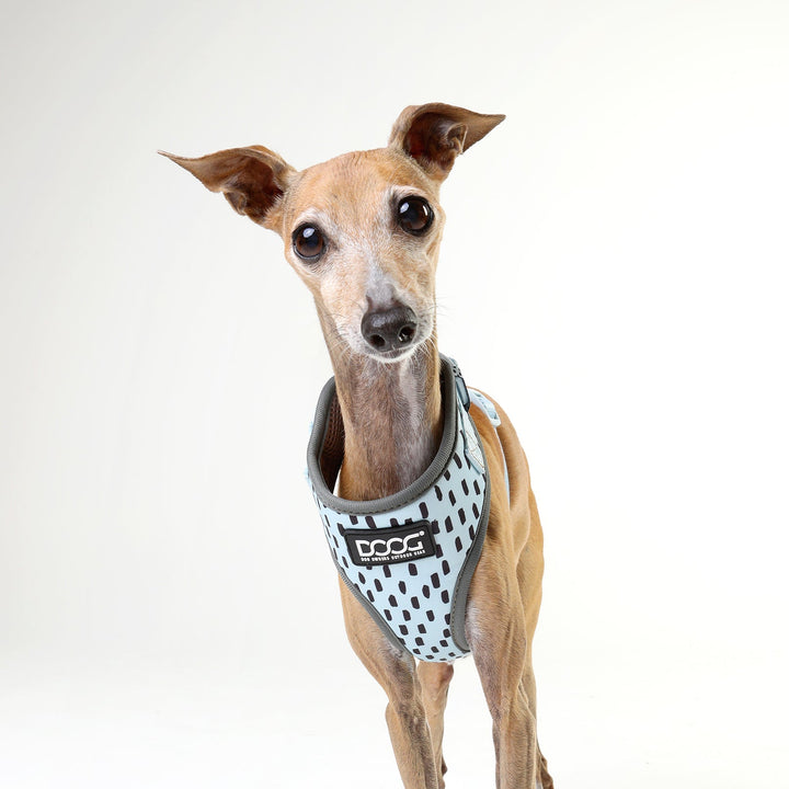 Neoflex Harness