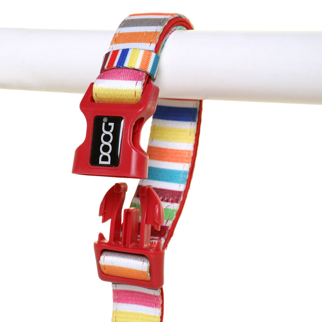 Clip-It Dog Leash
