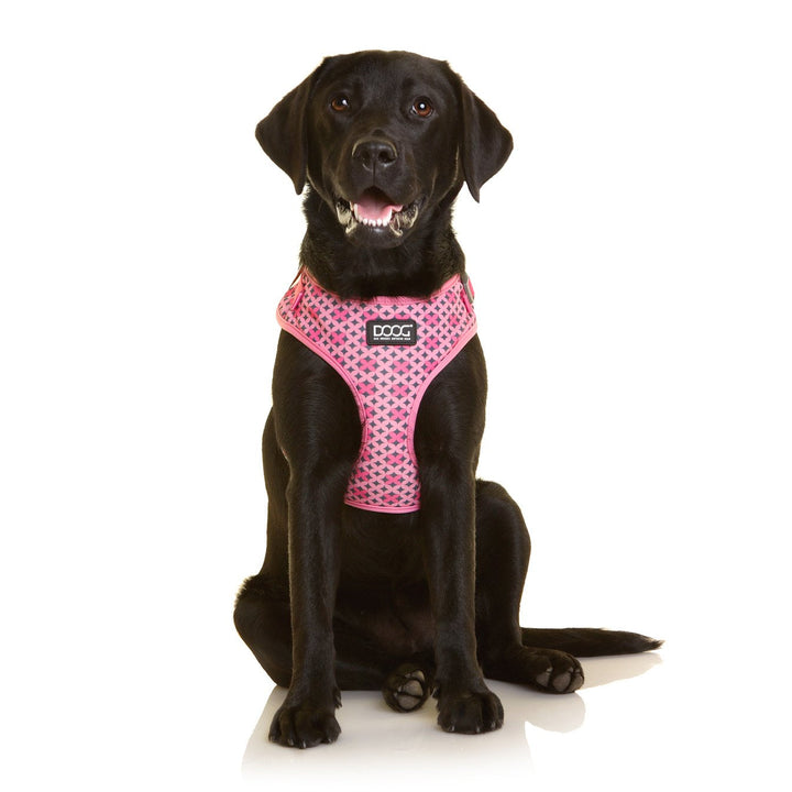 Neoflex Harness