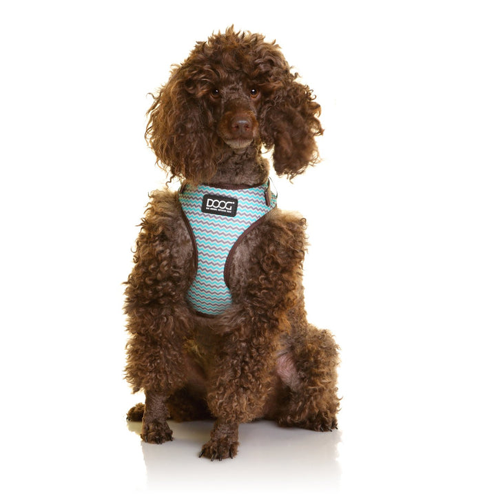 Neoflex Harness