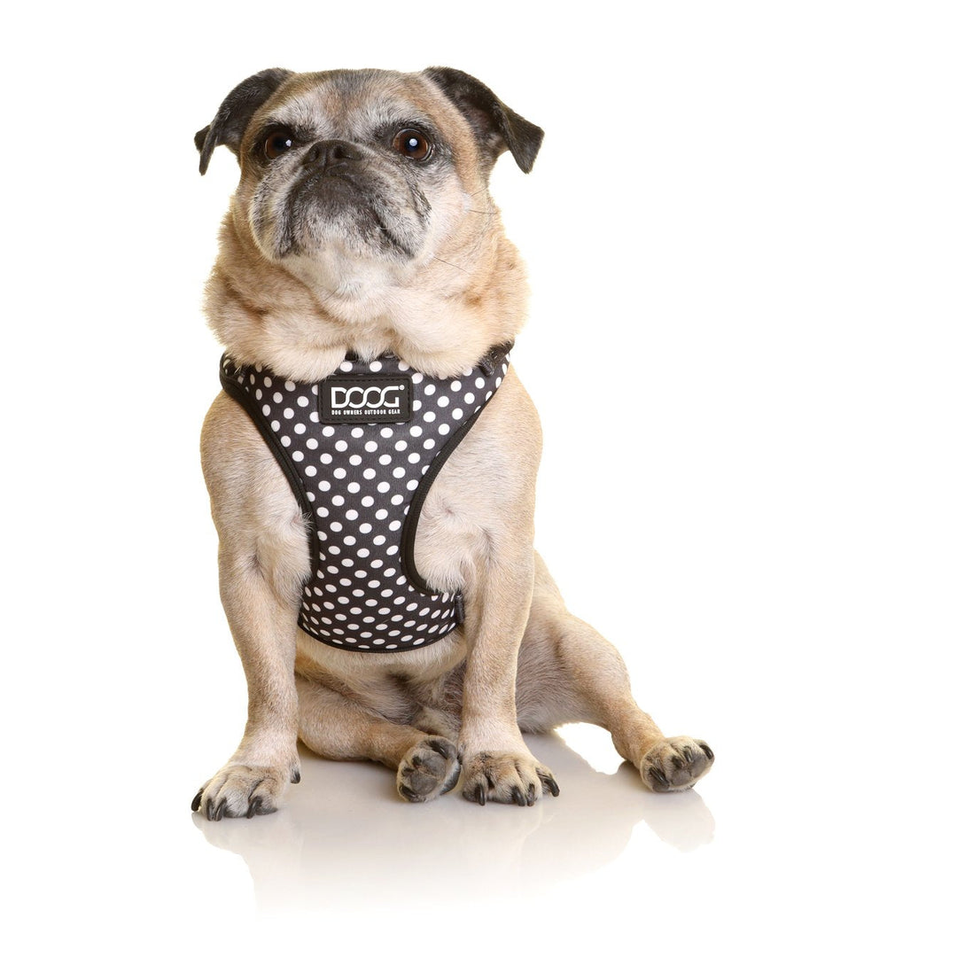 Neoflex Harness