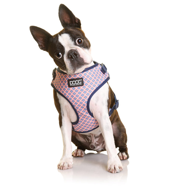 Neoflex Harness