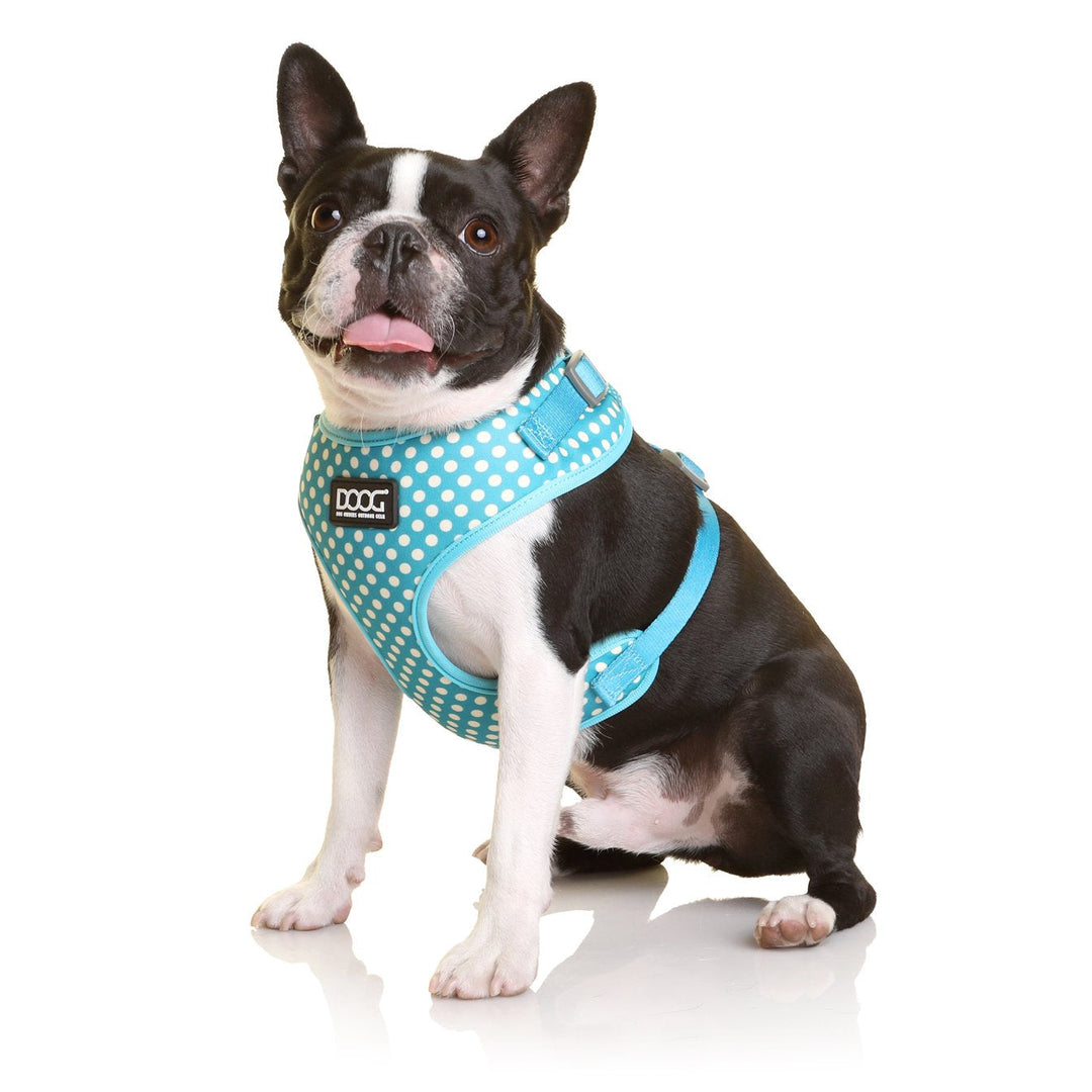 Neoflex Harness