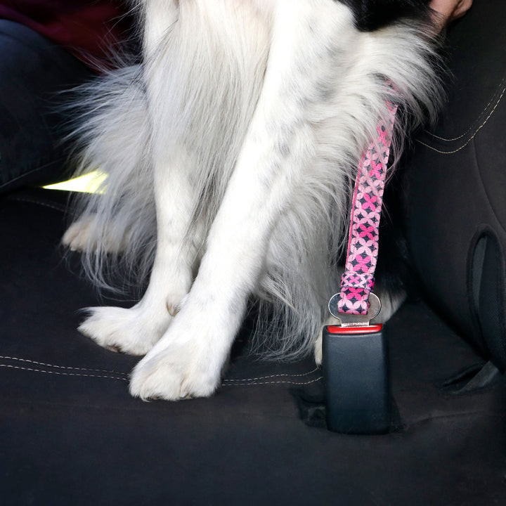 Car Restraint