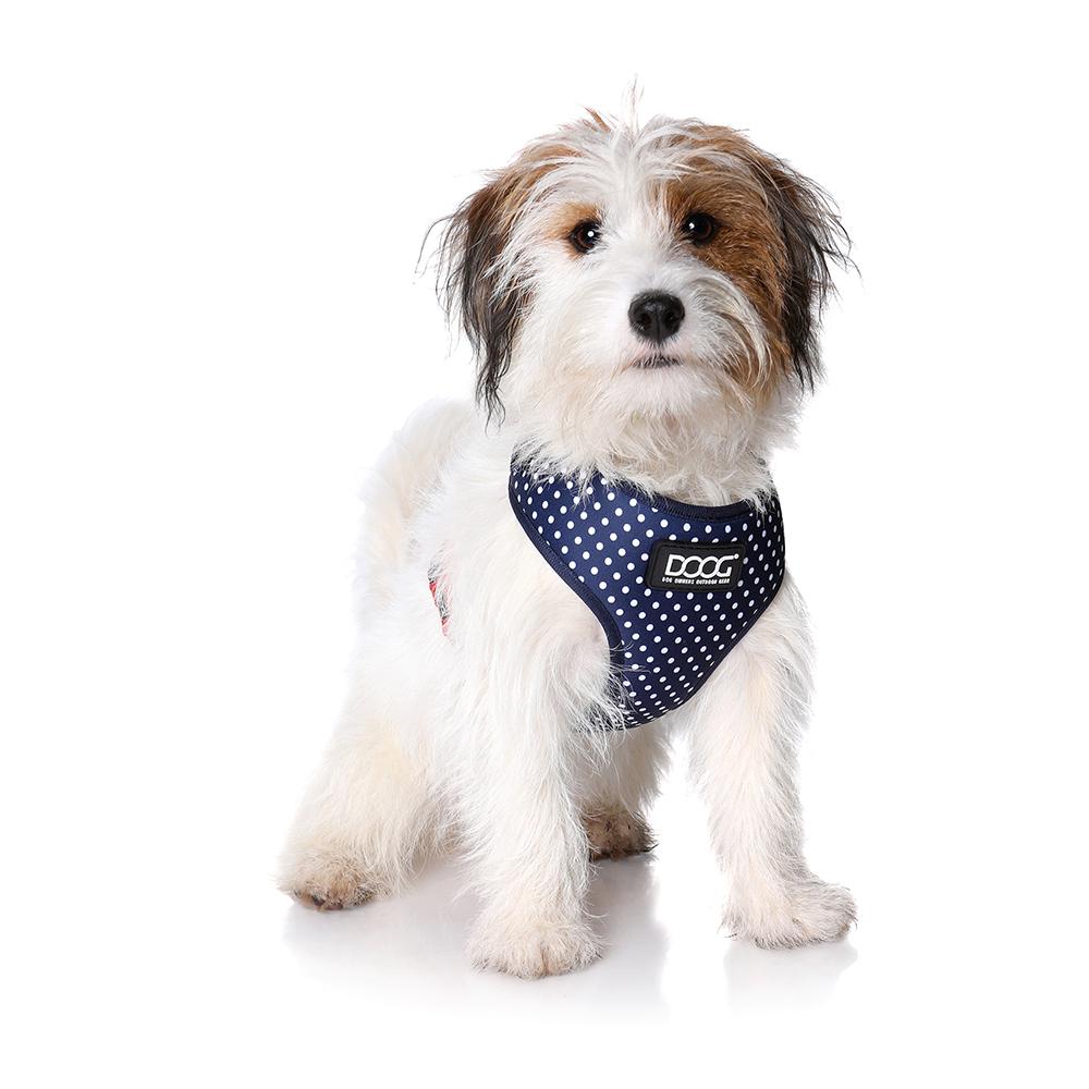 Neoflex Harness