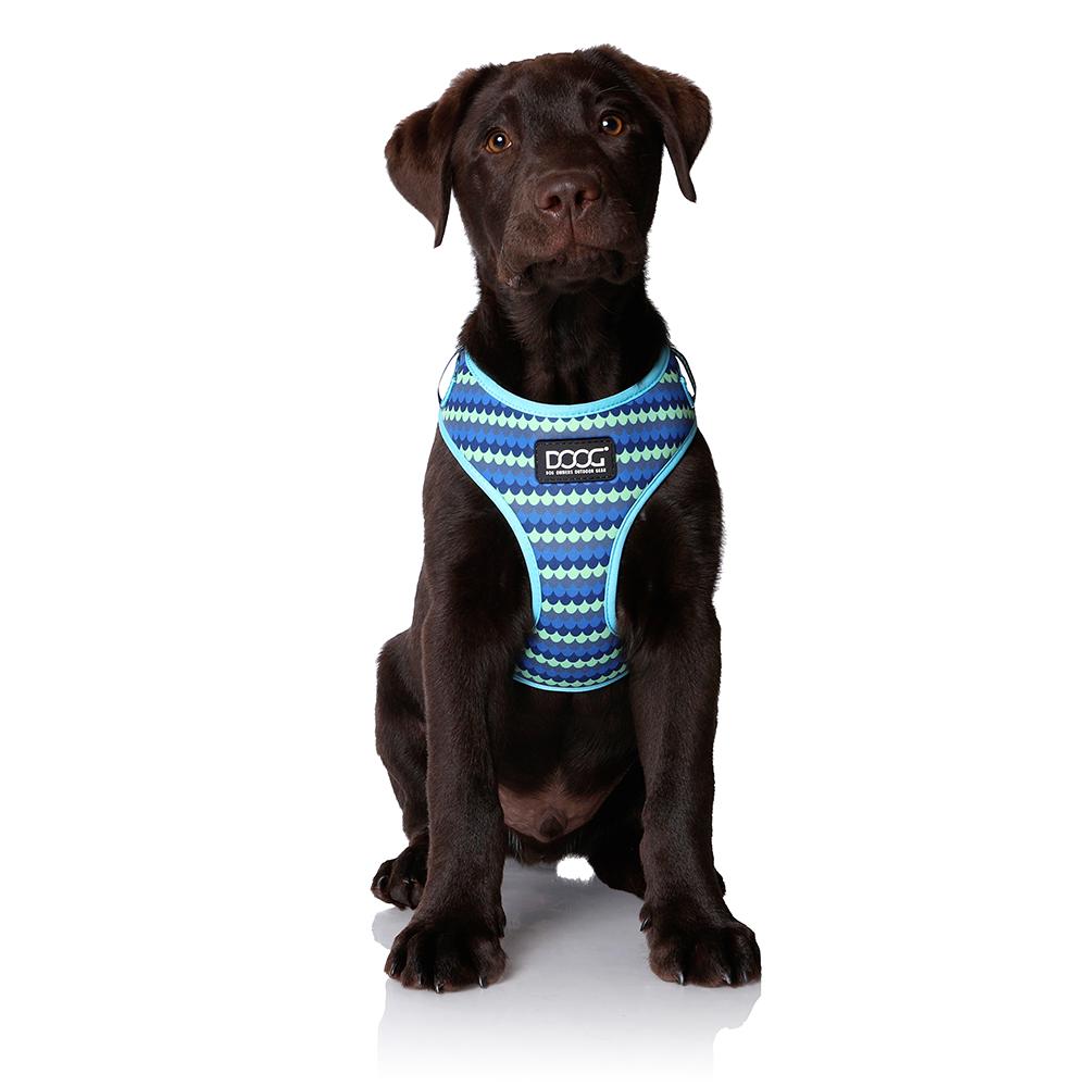 Neoflex Harness