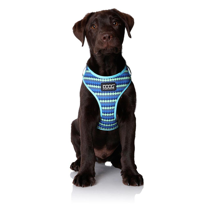 Neoflex Harness