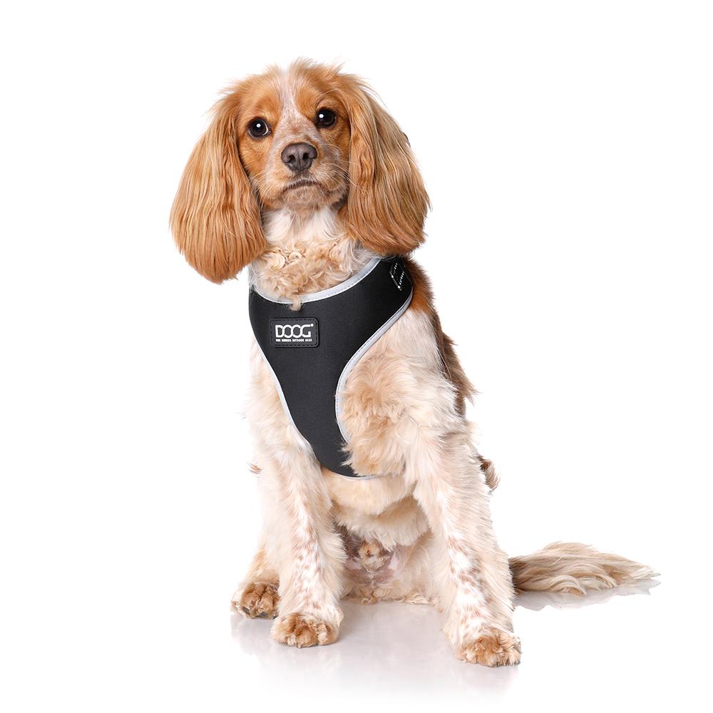 Neoflex Harness