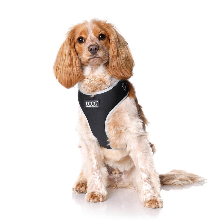 Neoflex Harness