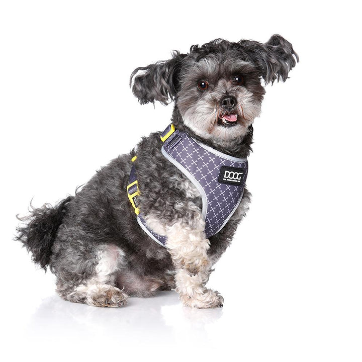 Neoflex Harness
