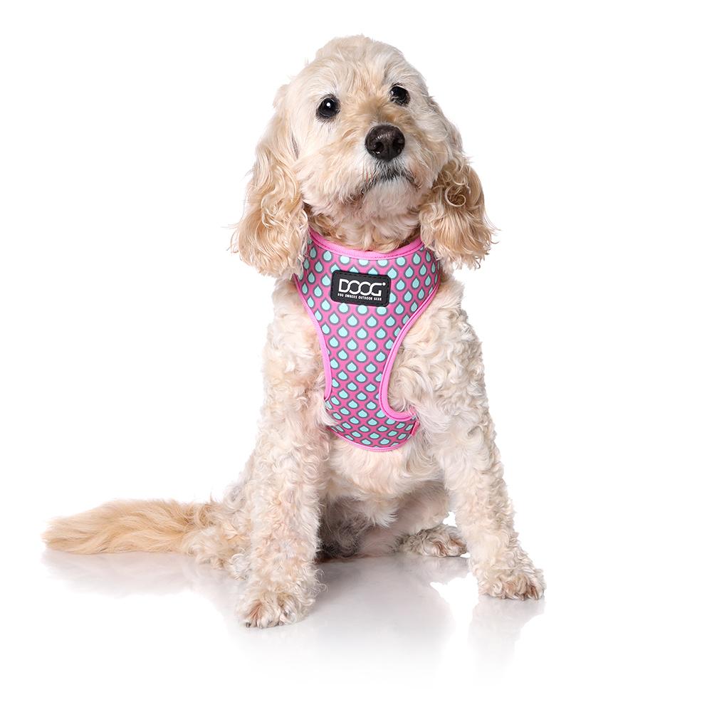 Neoflex Harness