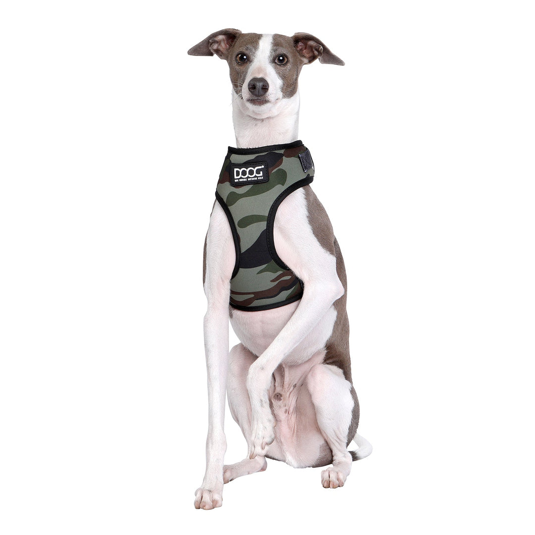 Neoflex Harness