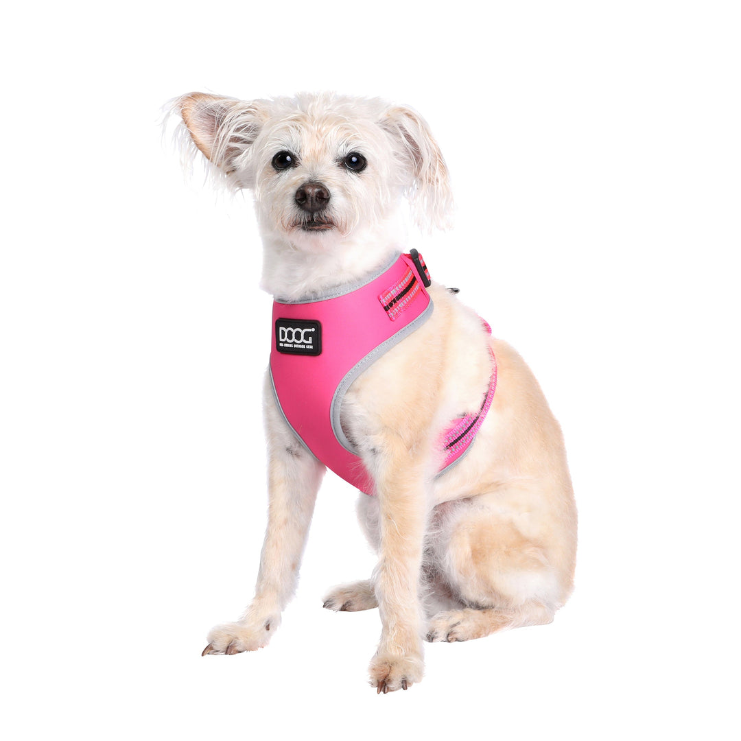Neoflex Harness