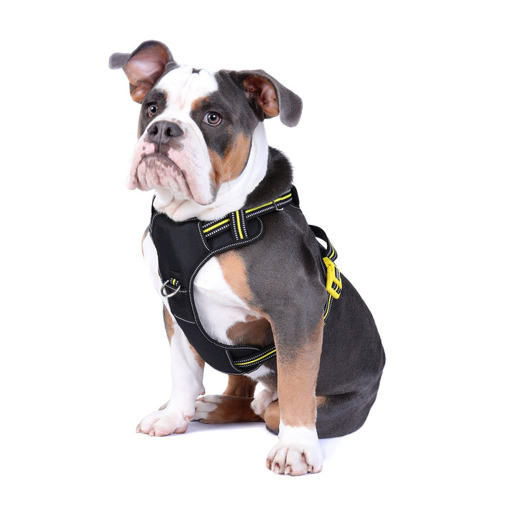 Neotech Harness