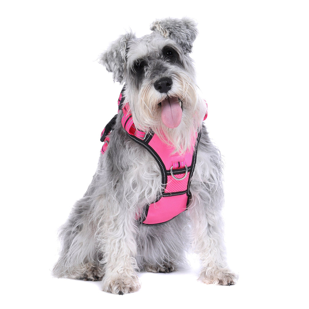 Neotech Harness