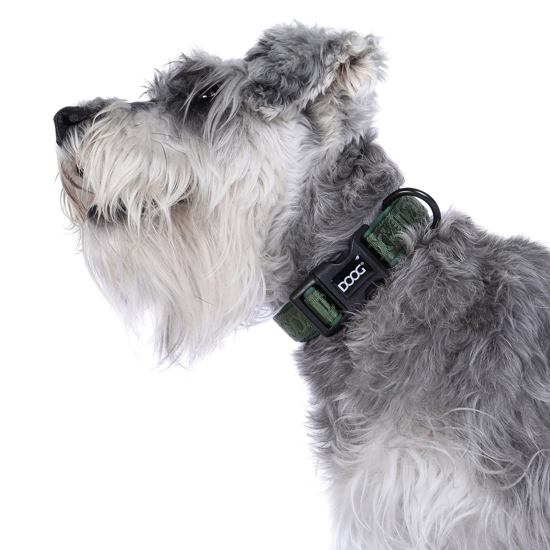 Neoprene Dog Collar