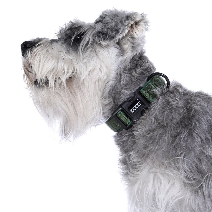 Neoprene Dog Collar