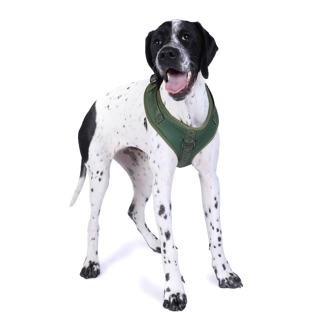 Neosport Harness