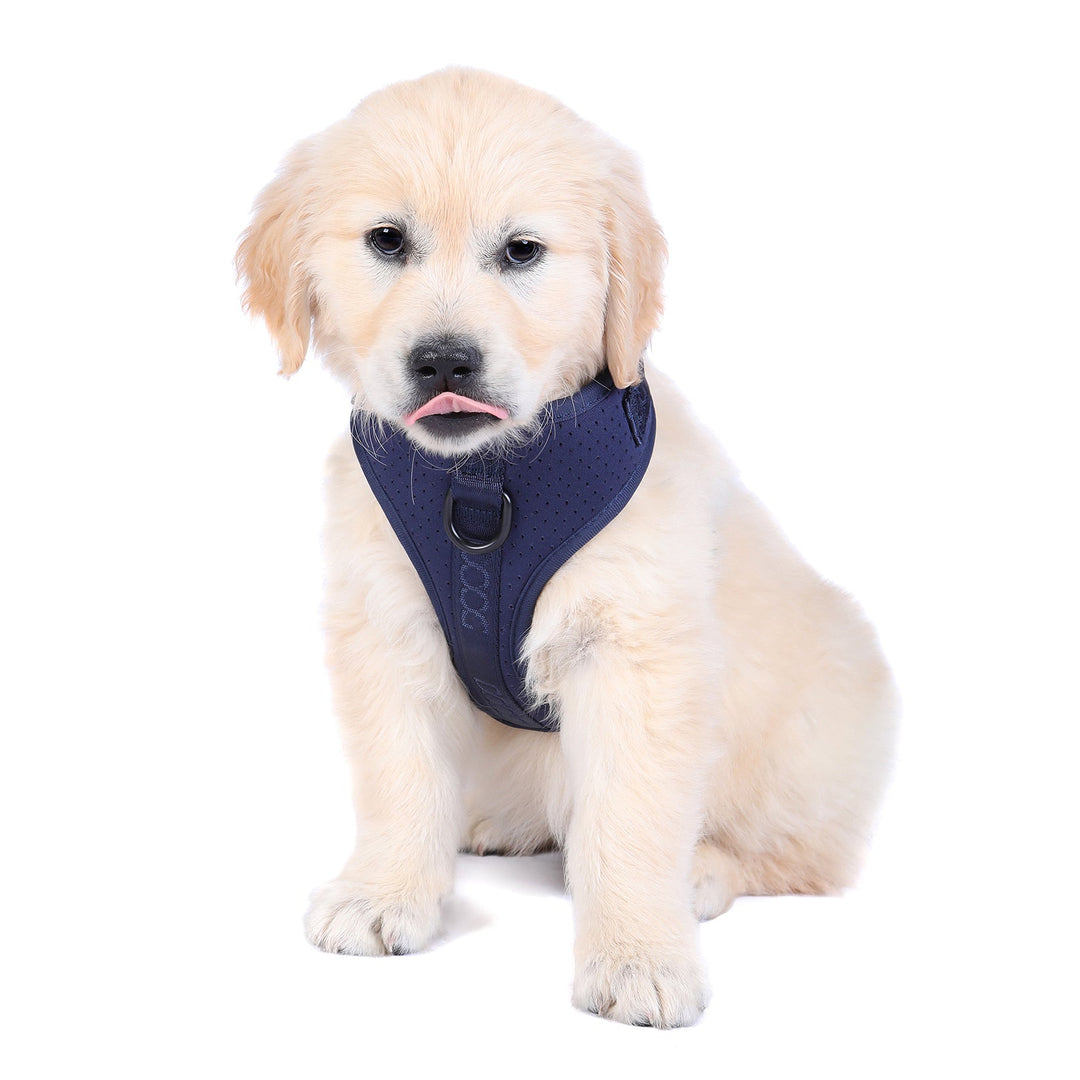 Neosport Harness