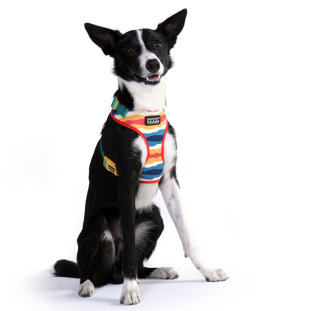 Neoflex Harness