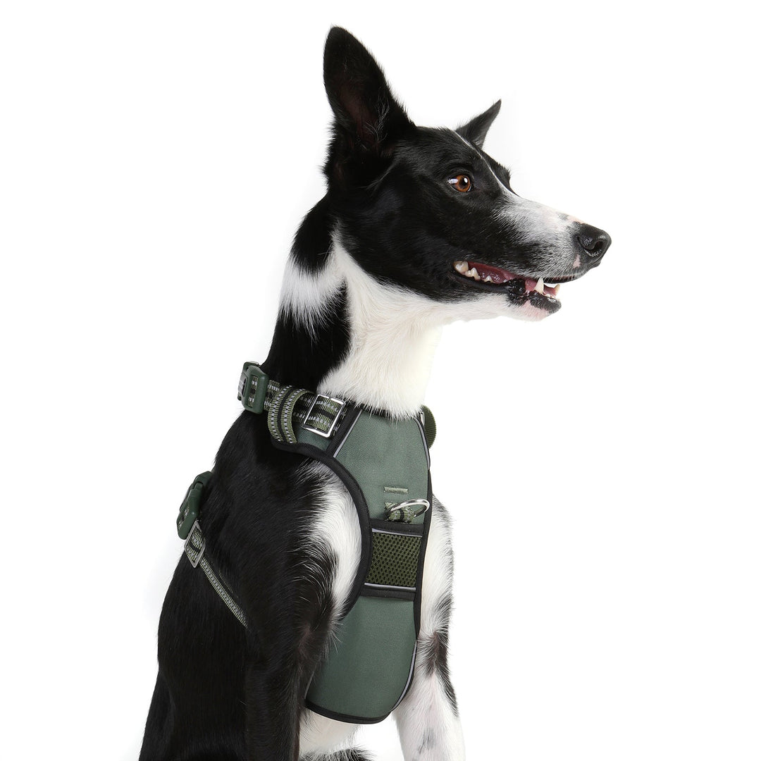Neotech Harness