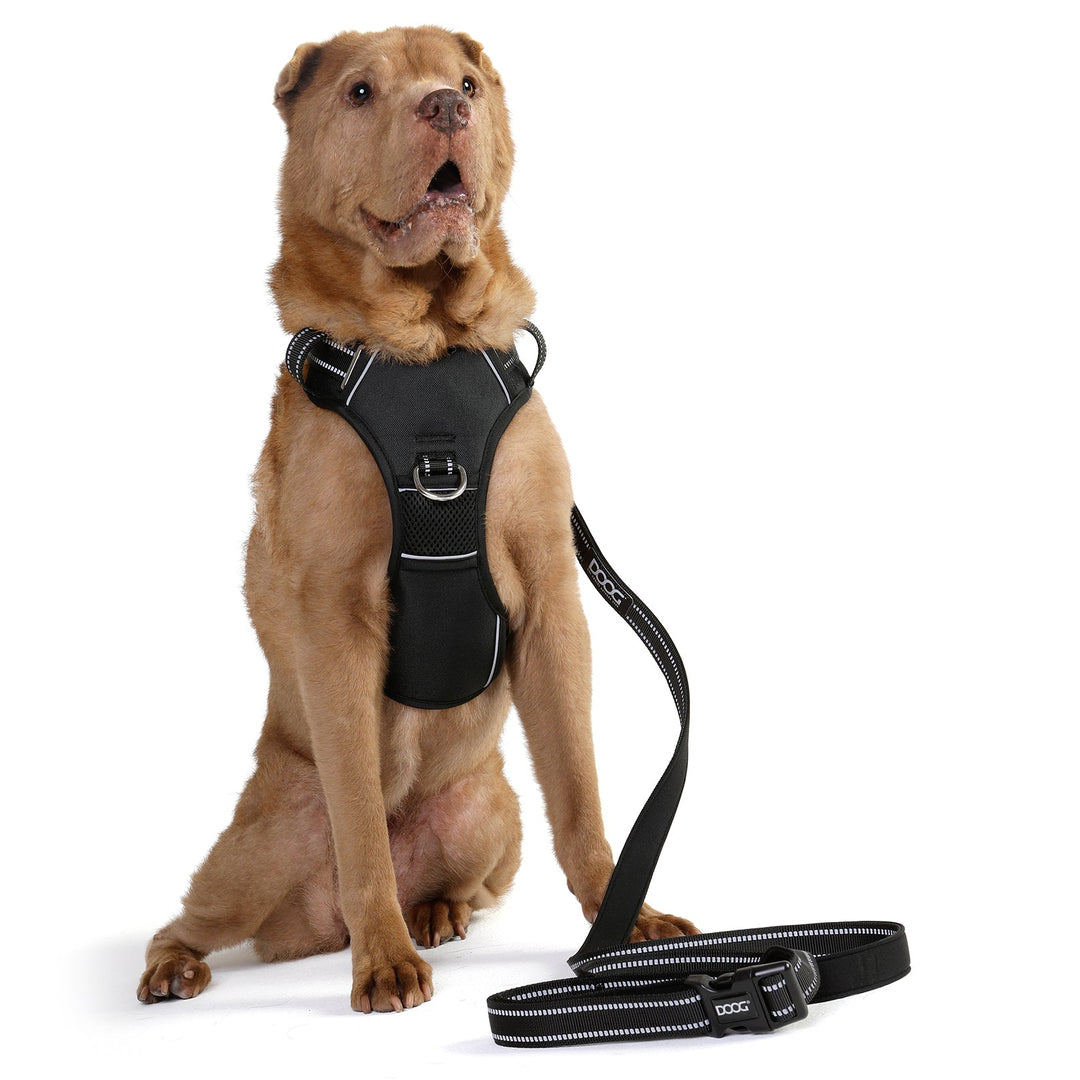 Neotech Harness
