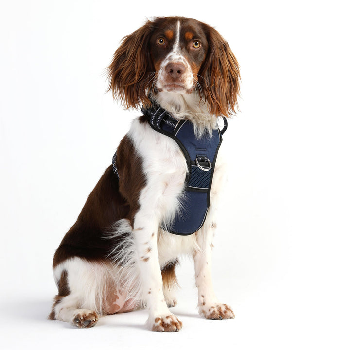 Neotech Harness