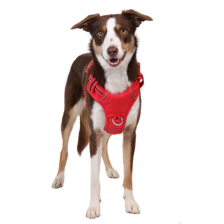 Neotech Harness