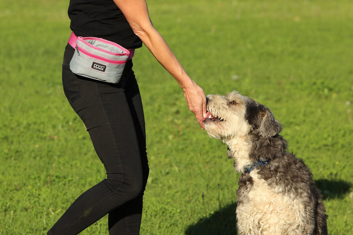 Good Dog Treat Pouch - Large