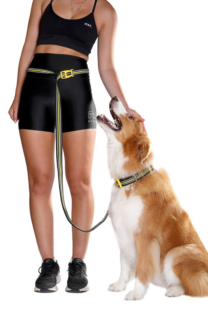 Clip-It Dog Leash