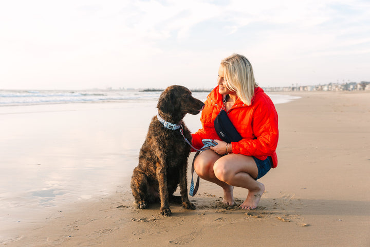 Clip-It Dog Leash