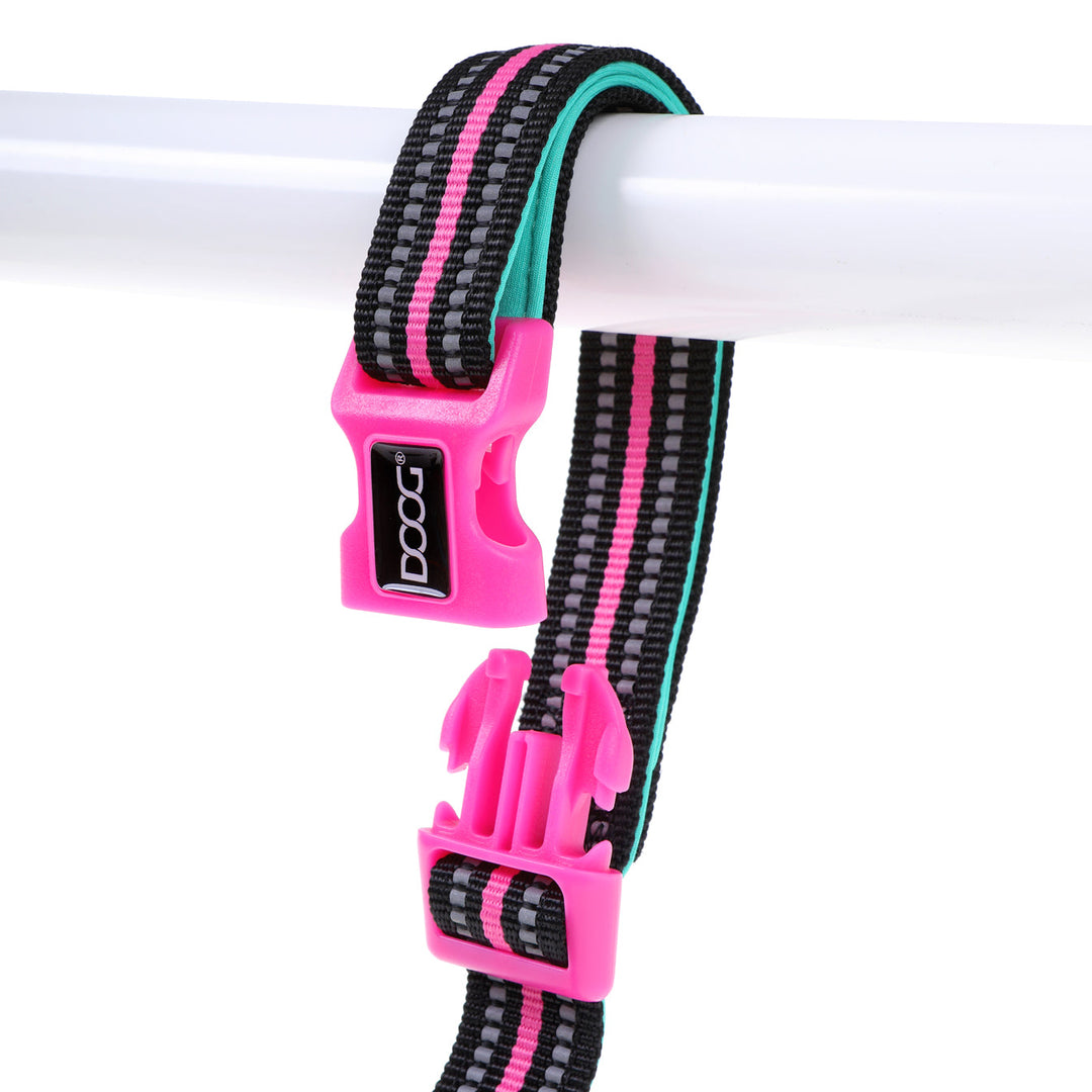 Clip-It Dog Leash