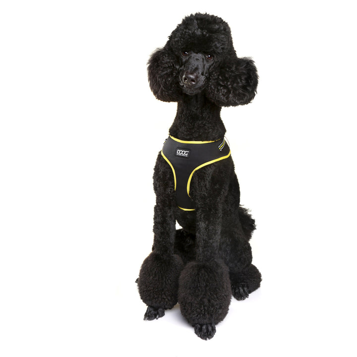 Neoflex Harness