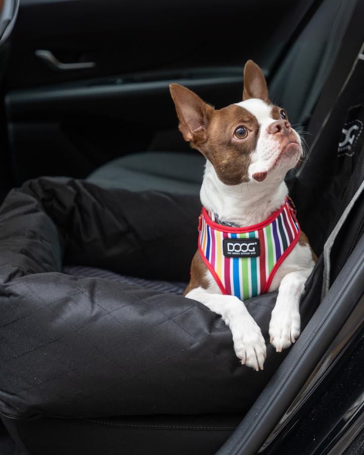 Dog Car Seat - Small to Medium