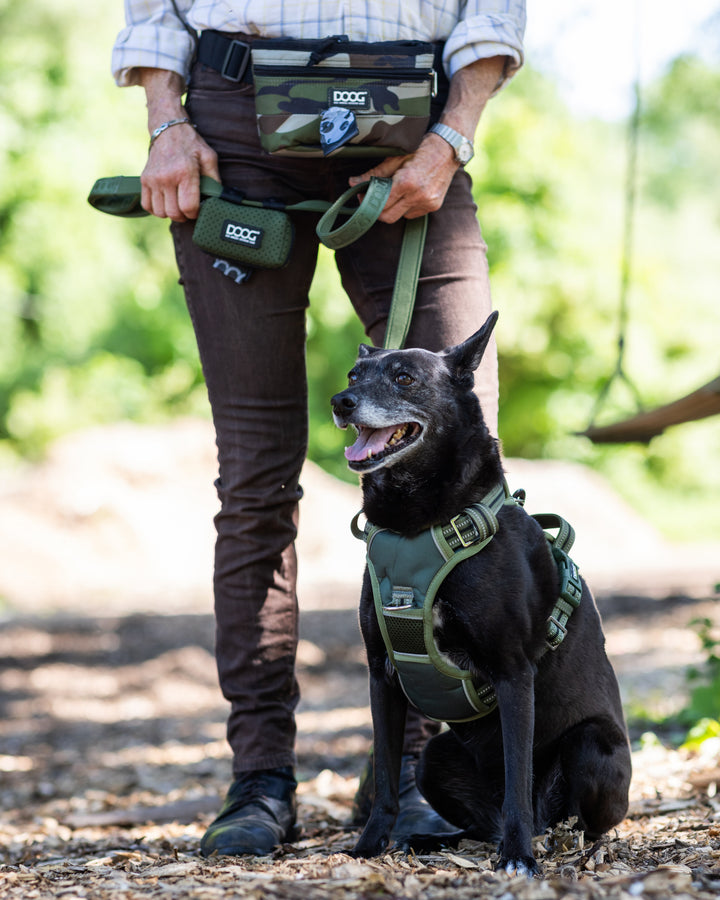 Neotech Harness