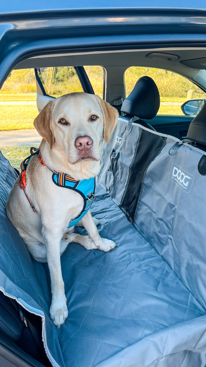 Car Seat Cover