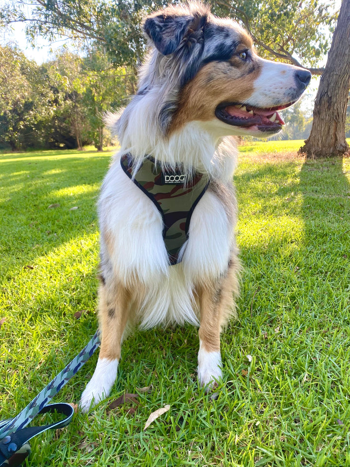 Neoflex Harness