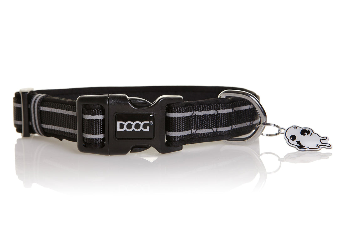 Neoprene Dog Collar