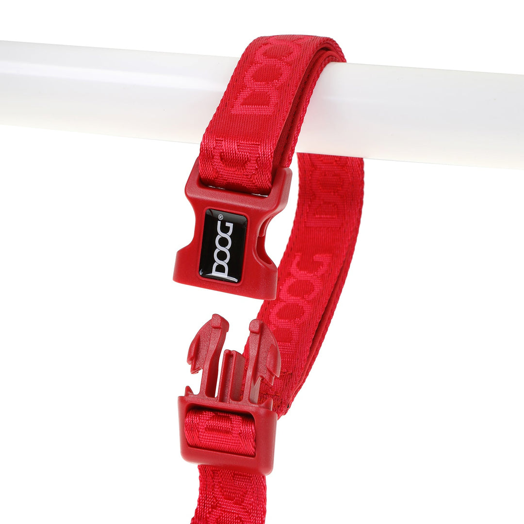 Clip-It Dog Leash